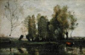 Trees in a Marshy Landscape