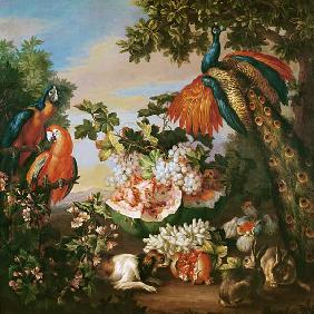 Fruit and Exotic Birds in a Landscape