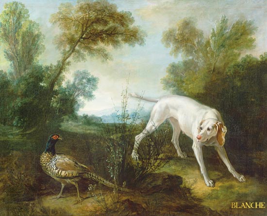 Blanche, Bitch of the Royal Hunting Pack van Jean Baptiste Oudry