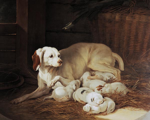 Bitch nursing puppies, detail from Lise et ses petits van Jean Baptiste Oudry