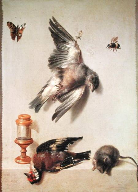 Still Life of Dead Birds and a Mouse van Jean Baptiste Oudry