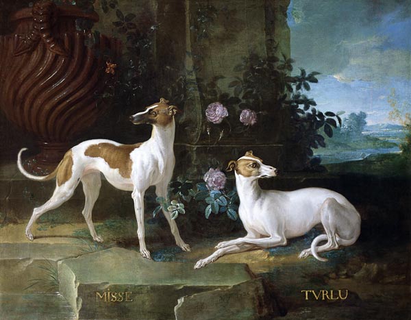 Misse and Turlu, two greyhounds of Louis XV van Jean Baptiste Oudry