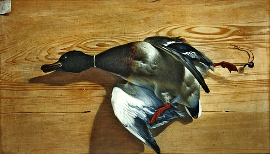 A duck on a pine board van Jean Jacques Bachelier