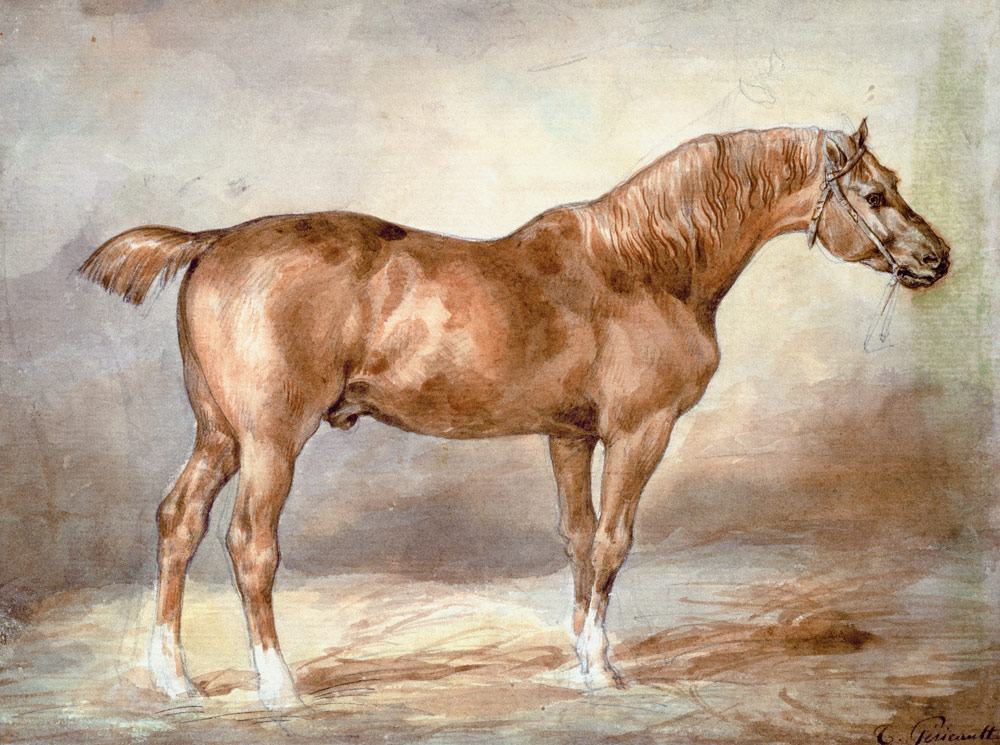A docked chestnut horse van Jean Louis Théodore Géricault