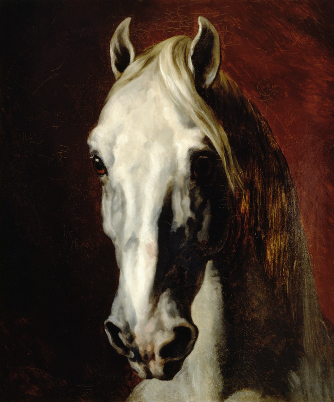 Kop van een grijs paard. van Jean Louis Théodore Géricault