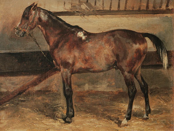 Brown Horse in the Stalls van Jean Louis Théodore Géricault