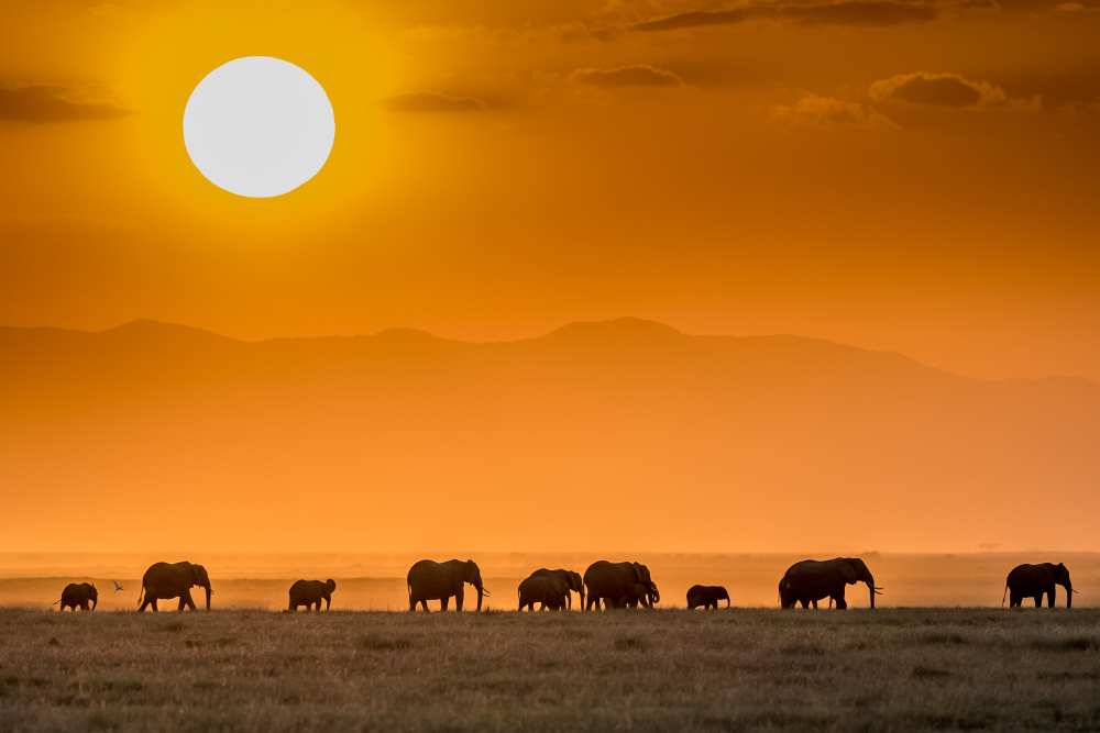 Sunrise over Amboseli van Jeffrey C. Sink