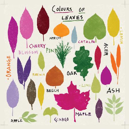 Colours of Leaves