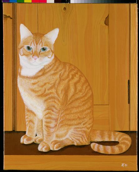 Marmalade cat by a door