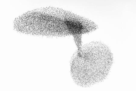 Starlings dance