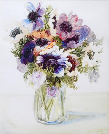 Anemones in a Glass Jug