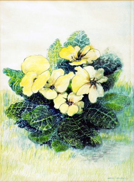 Primrose Pale Yellow van Joan  Thewsey