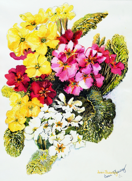 Primroses,White,Yellow,Pink and Red van Joan  Thewsey