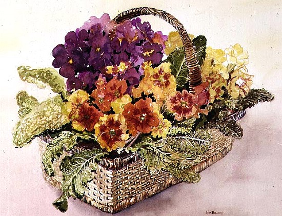 Primulas in a Basket (w/c)  van Joan  Thewsey