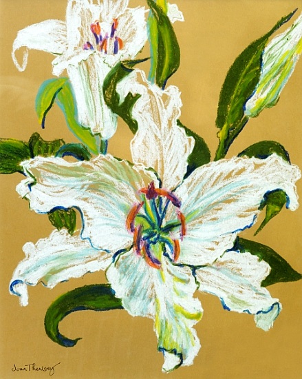 The white lilies van Joan  Thewsey