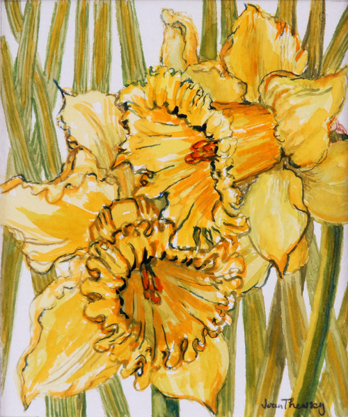 Two Daffodils van Joan  Thewsey