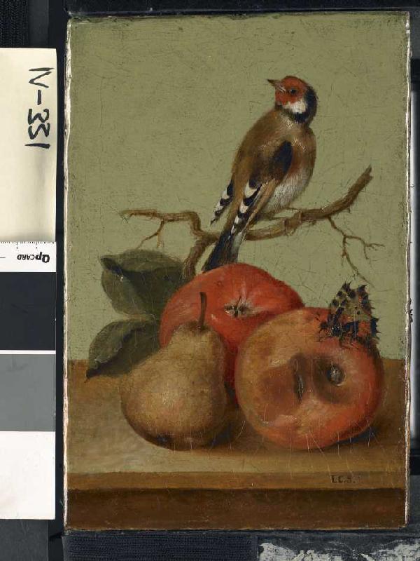 Fruchtstück mit Buntfink und Schmetterling. van Johann Conrad Seekatz