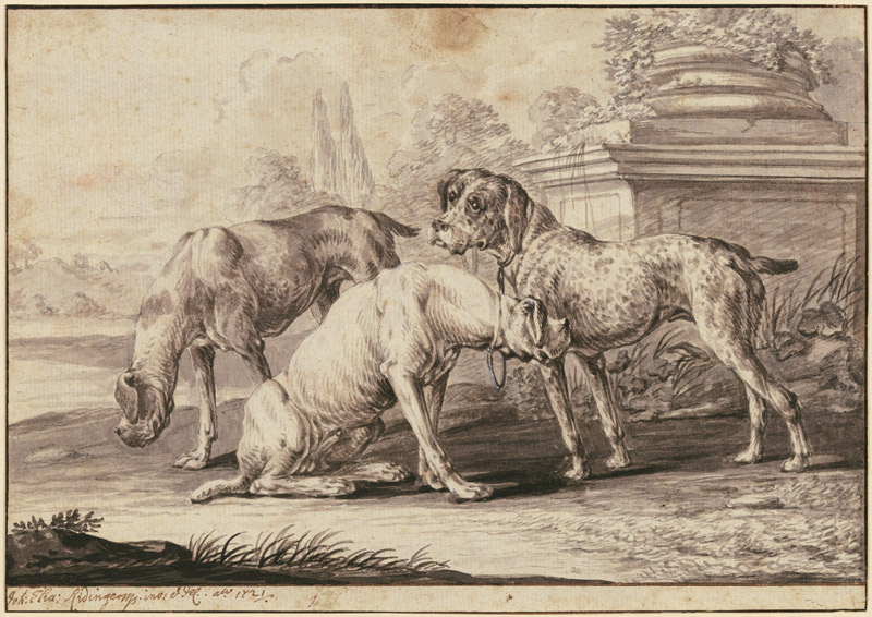 Three hunting dogs van Johann Elias Ridinger