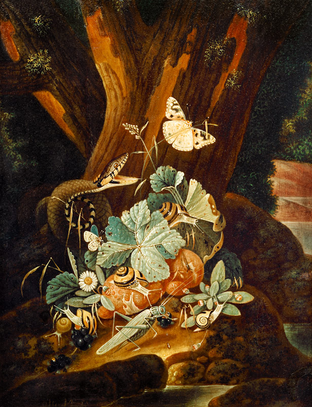 Insekten, Schnecken und Schlange van Johann Falch