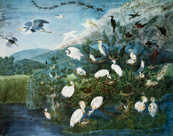 Vogelleben in einem ungarischen Sumpf van Johann Friedrich Naumann