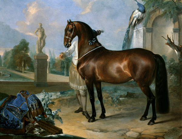 The bay horse' Sincero' van Johann Georg Hamilton