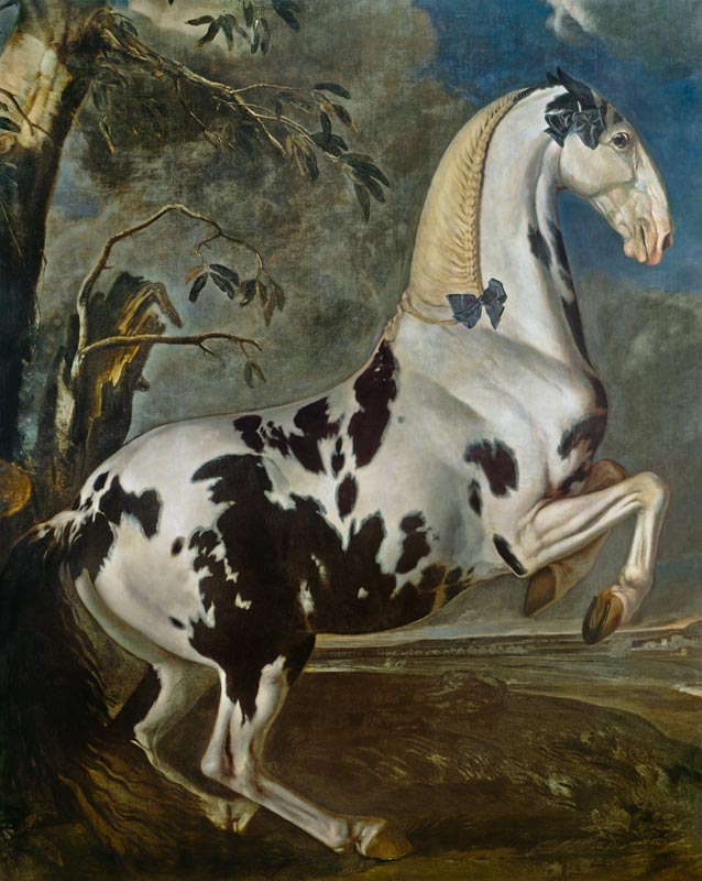 The Piebald Stallion at the Eisgruber Stud van Johann Georg Hamilton