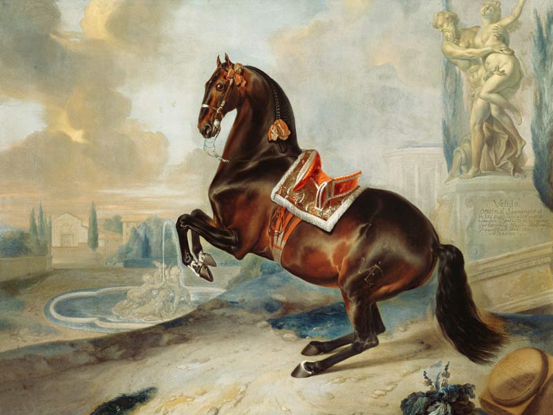 The dark bay horse 'Valido' performing a Levade movement van Johann Georg Hamilton