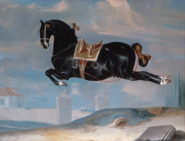 The black horse 'Curioso' performing a Capriole van Johann Georg Hamilton