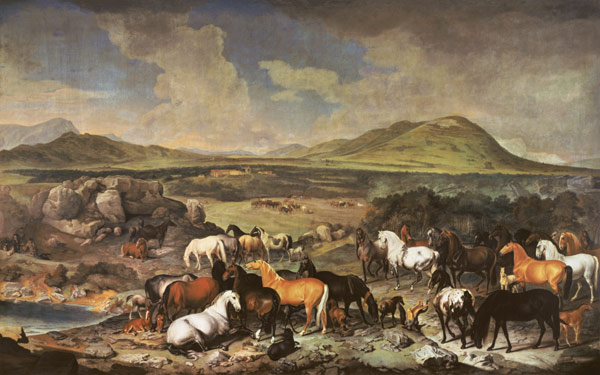 The Imperial Stud with Lipizzaner Horses van Johann Georg Hamilton