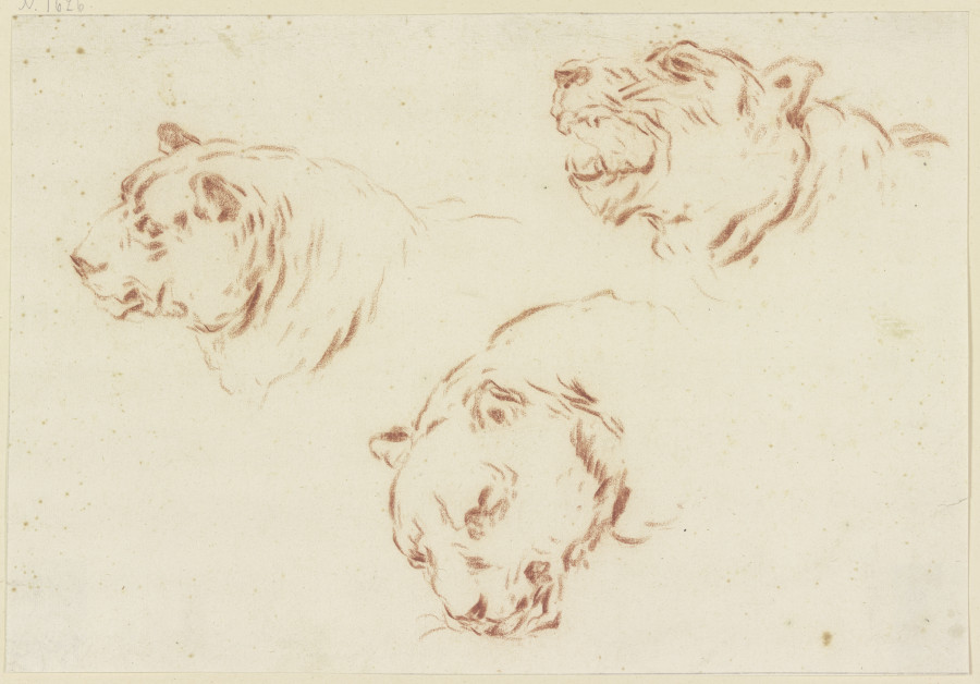 Three tiger heads van Johann Melchior Roos