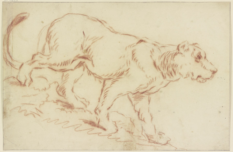 Herabschreitende Löwin nach rechts van Johann Melchior Roos