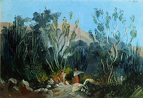 Jalapa et Cordoba. van Johann Moritz Rugendas