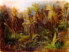 Der Palmenwald bei Manzanillo. van Johann Moritz Rugendas