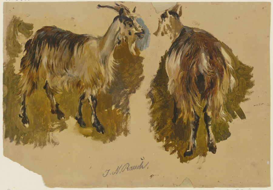 Two goats van Johann Nepomuk Rauch