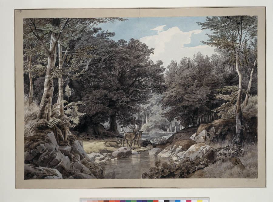 Waldinneres mit Hirschen am Wasser van Johann Wilhelm Schirmer