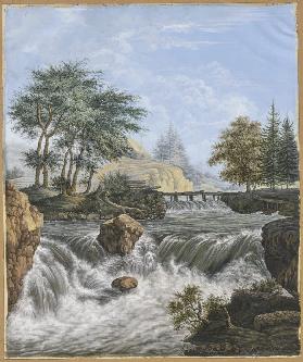 Wasserfall im Gebirge, am Ufer und im Hintergrund Nadelhölzer