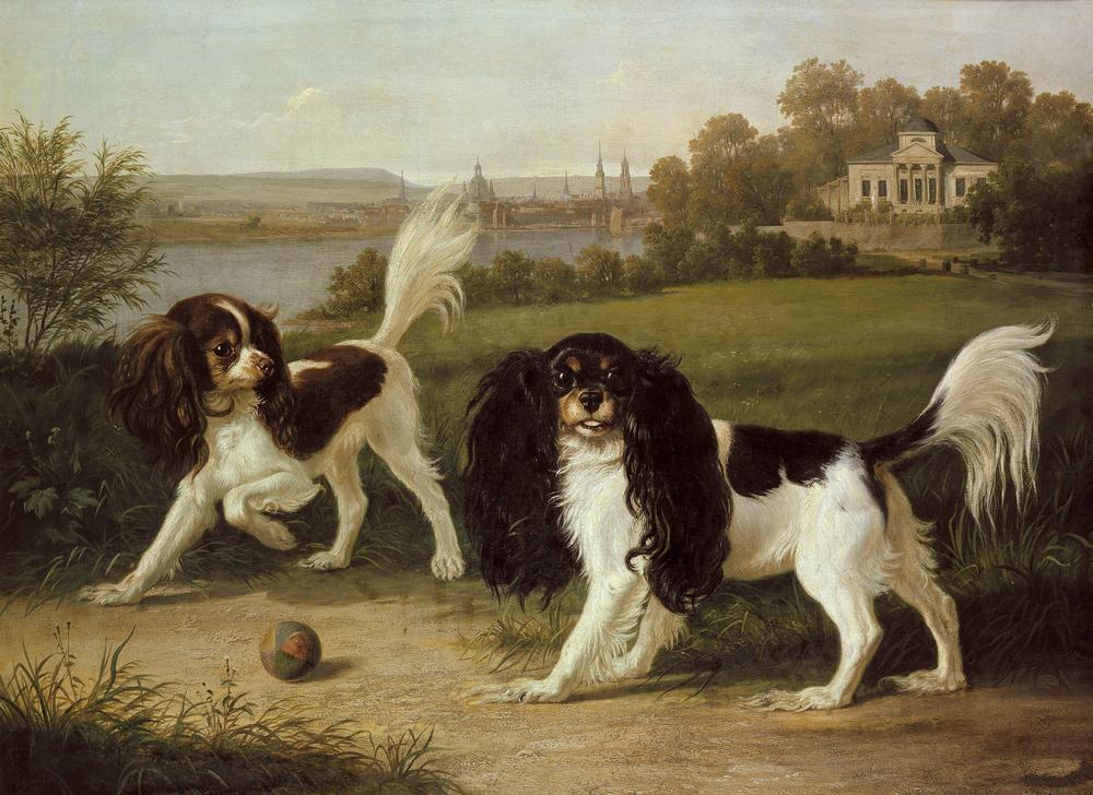 Zwei King-Charles-Hunde vor Dresden van Johann Friedrich Wilhelm Wegener
