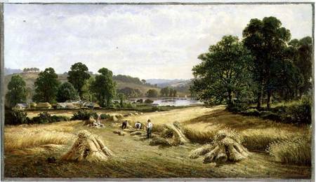Gathering the Golden Grain near Bishopsteignton, Plymouth van John Barrett