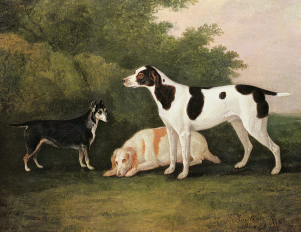 Three Dogs in a Landscape van John Boultbee