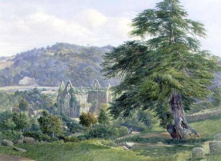Tintern Abbey with the Wye Beyond van John Chase