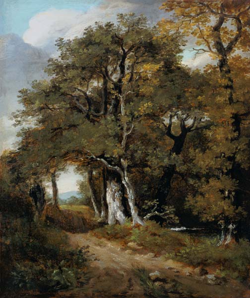 J.Constable, A Woodland Scene, c.1801. van John Constable