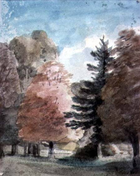 Study of Trees in a Park van John Constable