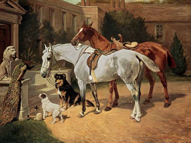 Horses and Dogs van John Emms