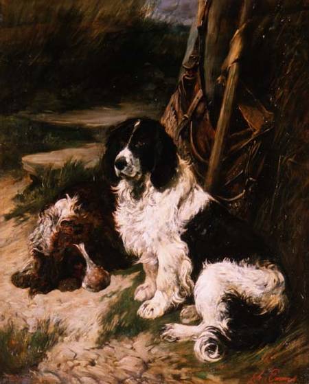 Brown and White and Black and White Spaniel van John Emms
