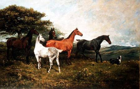 Mares and Foal with a Sheepdog van John Emms