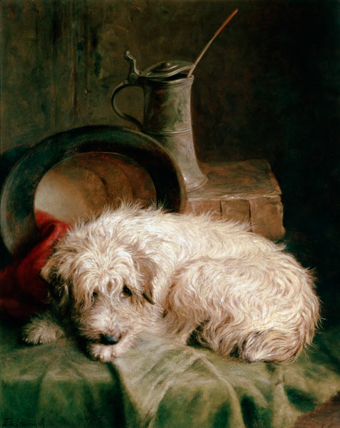 A Terrier van John Fitz Marshall