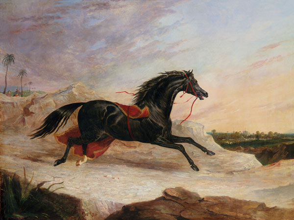 Arabs Chasing A Loose Arab Horse In An Eastern Landscape van John Frederick Herring d.Ä.