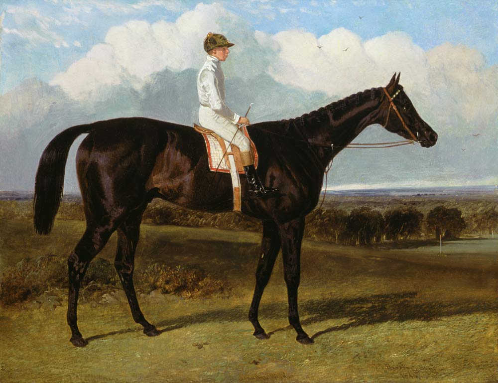 'Jonathan Wild' a Dark Bay Race Horse, at Goodwood, T.Ryder up van John Frederick Herring d.Ä.