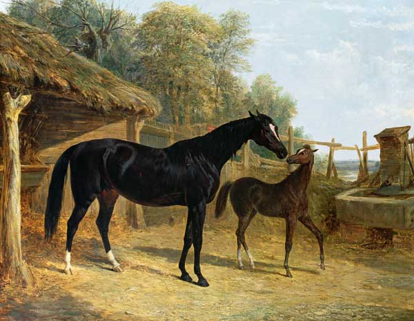 Levity, the property of J.C.Cockerill Esq., with her foal Queen Elizabeth, the property of Lord Dorc van John Frederick Herring d.Ä.