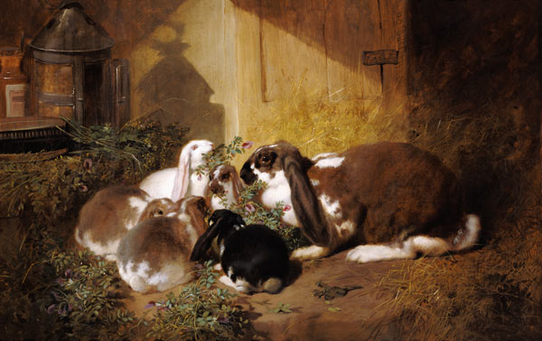 Kaninchenfamilie van John Frederick Herring d.Ä.